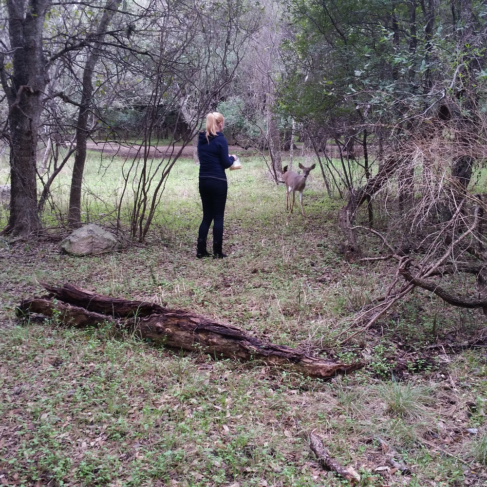 Meet your Posher, Elena